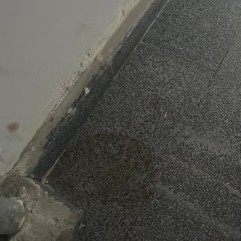 Yetersiz Temizlik Ve İlgisiz Site Yönetimi Nedeniyle Aidatların Karşılığını Alamıyoruz