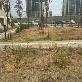 Yetersiz Temizlik Ve İlgisiz Site Yönetimi Nedeniyle Aidatların Karşılığını Alamıyoruz