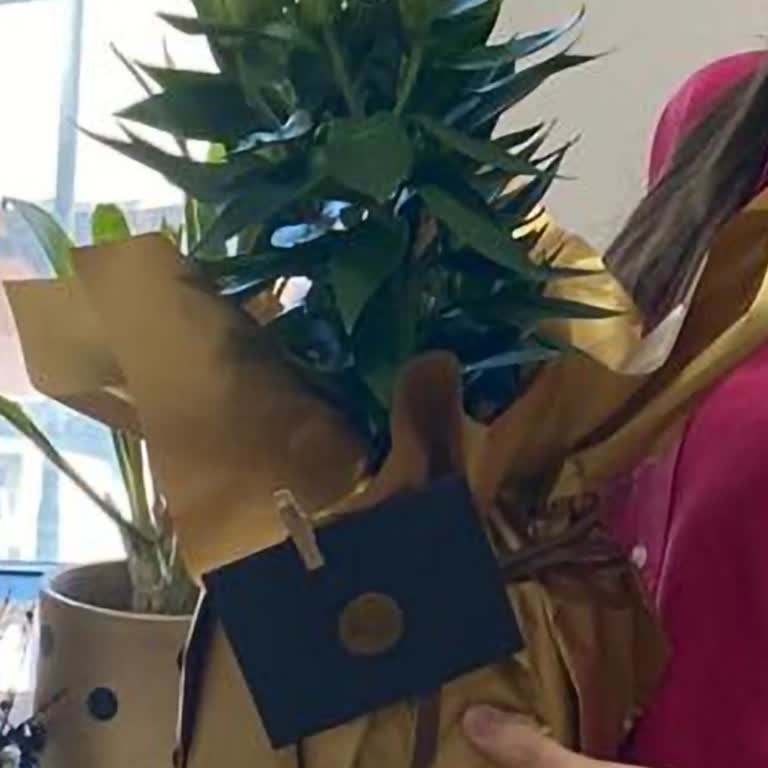 Rosebox Görselle Uyuşmayan Çiçek!