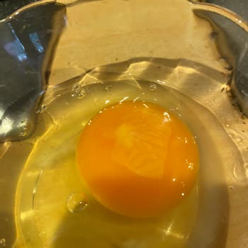 Eggy Yumurta Yenecek Halde Değildi
