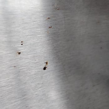 Bosch Buzdolabında Kapakta Paslanma Ve Garanti Desteği Eksikliği