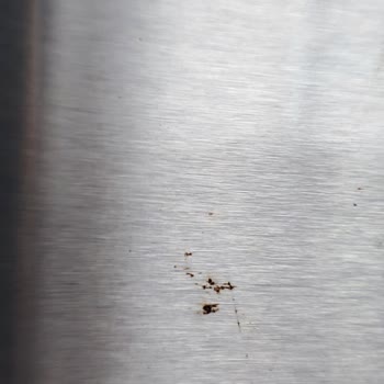 Bosch Buzdolabında Kapakta Paslanma Ve Garanti Desteği Eksikliği