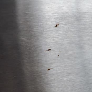 Bosch Buzdolabında Kapakta Paslanma Ve Garanti Desteği Eksikliği