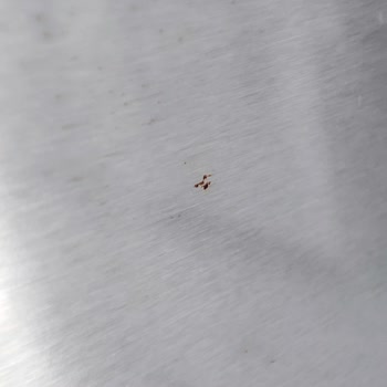 Bosch Buzdolabında Kapakta Paslanma Ve Garanti Desteği Eksikliği