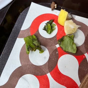 Bayat Ürünler Ve Reddedilen İade Talebiyle Yaşanan Mağduriyet