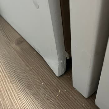 @Ahsapmontessoriyatak Sipariş Verdiğim Montessori Yatak Kusurlu Geldi, Satıcı Destek Sağlamıyor