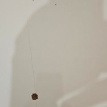 Sürat Kargo Kırılabilir Ürün Bina Dışında Teslim Edildi, Hasarlı Geldi!