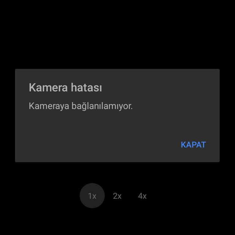 Kamera qarshisida yalangoch suratlar