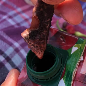 Aldığım Vişne Suyunda Yabancı Cisim Çıkması Ve Yetersiz Mağaza İlgisi