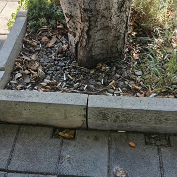 İstasyonda Hijyen Yok Tuvaletler Ve Çevre Bakımsız