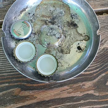 İstasyonda Hijyen Yok Tuvaletler Ve Çevre Bakımsız