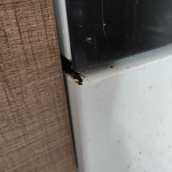 Aldığım Beko Ürünlerinde Bitmeyen Arızalar Ve Servis Mağduriyeti