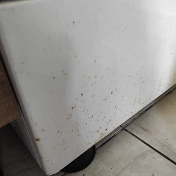 Aldığım Beko Ürünlerinde Bitmeyen Arızalar Ve Servis Mağduriyeti