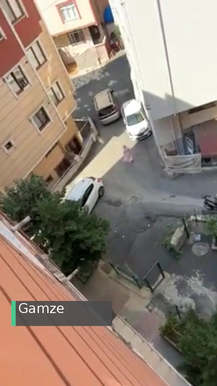 Eyüpsultan Belediyesi Park Yasağı Getirilmesi Lazım videonun kapak resmi