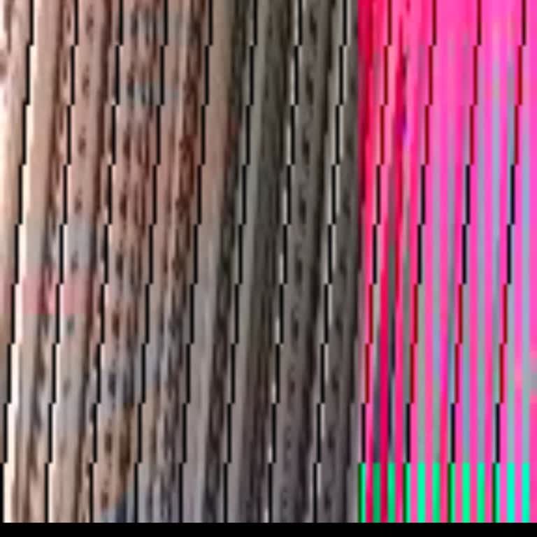 BiTaksi Evrak Doğrulama Hatası Nedeniyle Araç Kiralayamıyorum