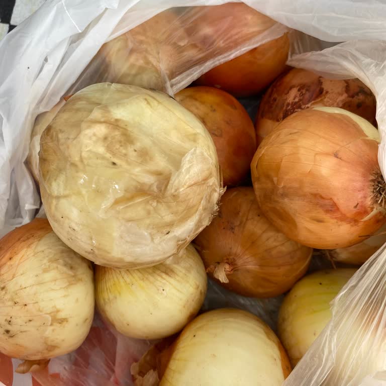 Migros Sanal Market'ten Sürekli Bozuk Meyve-Sebze Teslimatı Ve İlgisiz Müşteri Hizmetleri