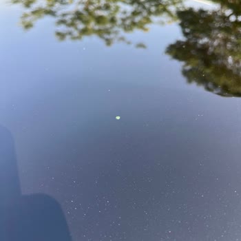 Opel Mokka'nın Tavan Boyasında Garanti Kapsamında Çözülmeyen Kusur!