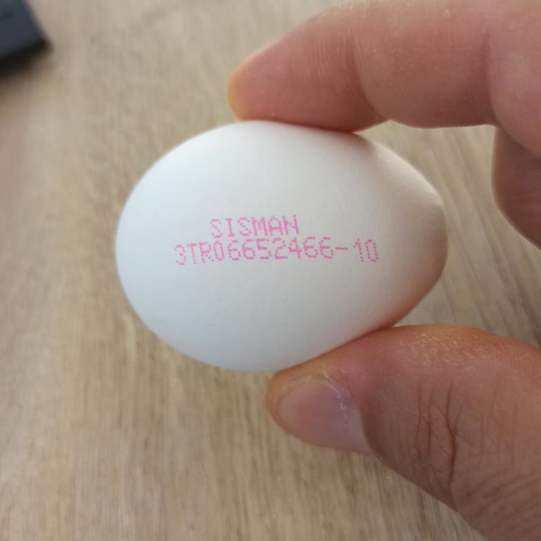 Medyum Boy Yumurtaların Beklenenden Küçük Çıkması Hakkında Şikayet