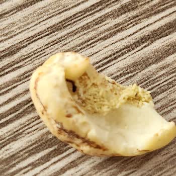 Kuruyemişten Kurt Çıkması Ve Yanlış Ürün Sorunu