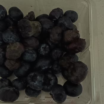 Bozuk Ürün Ve Eksik Teslimat Sonrası Müşteri Hizmetlerinden Dönüş Alamadım