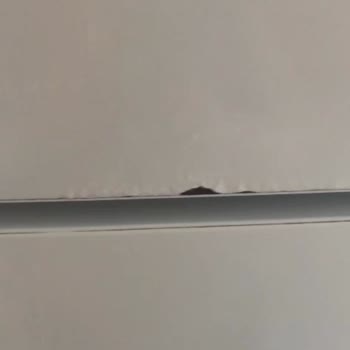 Buzdolabında Paslanma Sorunu Ve Servisten Geri Dönüş Alamama