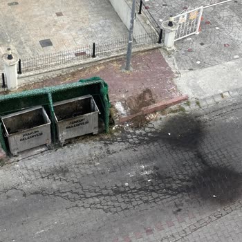 Mahallede Çöp Alanı Temizlenmiyor Pis Sular Kötü Koku Ve Hijyen Sorunu Yaratıyor