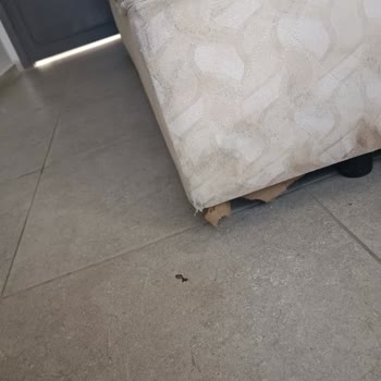 Kuşadası Soleil Hotel’de Hijyen Sorunları Ve Tatilbudur’dan Yetersiz Destek Nedeniyle Mağduriyet