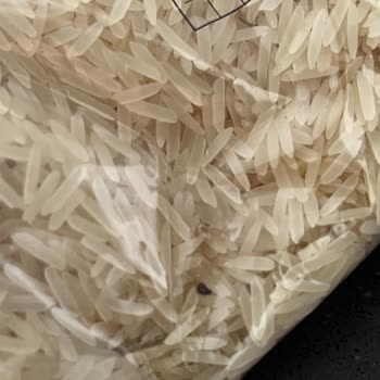 Aldığım Pirincin İçinden Böcek Çıktı Hijyen Ve Kaliteye Güvenim Sarsıldı