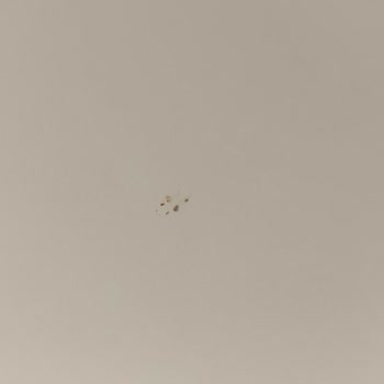 Hasarlı Teslimat Ve İletişimsizlik Mağduriyeti