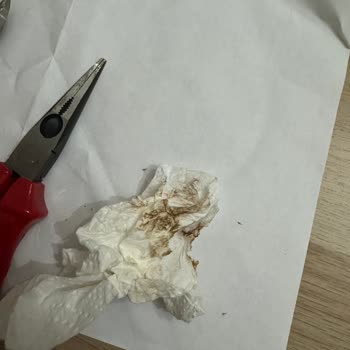 Yeni Alınan El Aletlerinde Hızlı Paslanma Şoku