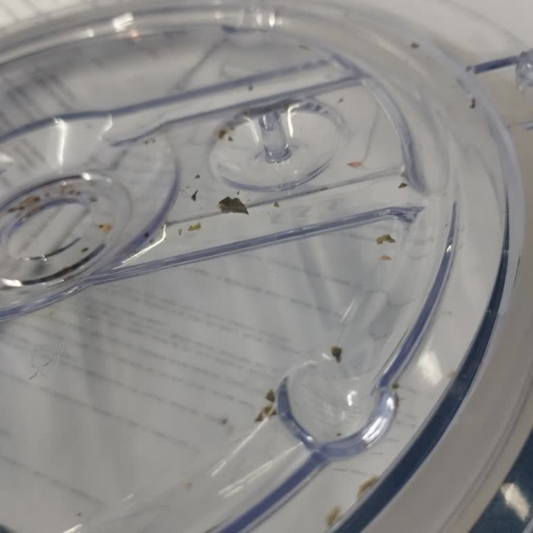 Serviste Parçaları Kırılan Blender İçin Yenileme Veya İade Talebi