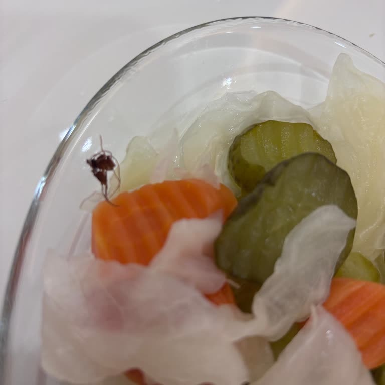 Karışık Turşuda Ölü Böcek Buldum, Para İadesi İstiyorum