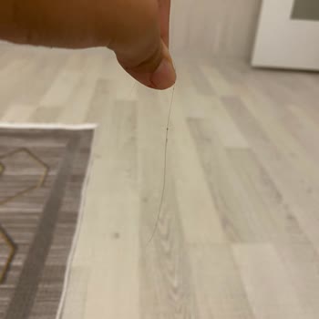 Aldığım Pastadan Saç Çıktı, Hijyen Ve Tazelikten Şikayetçiyim