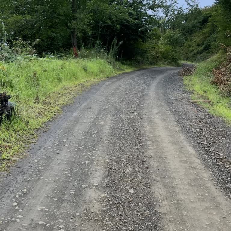 Vakfıkebir Demirci Mahallesi'nde Yıllardır Yapılmayan Köy Yolu Mağduriyeti