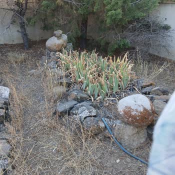 Sabit Baba Türbesi Bakımsız Ve Terk Edilmiş Durumda
