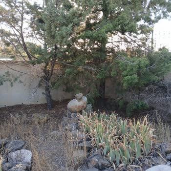 Sabit Baba Türbesi Bakımsız Ve Terk Edilmiş Durumda