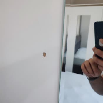 Taşınma Sırasında Fiyat Artışı Ve Eşyalarımda Ciddi Hasar Oluştu