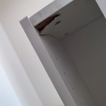 Taşınma Sırasında Fiyat Artışı Ve Eşyalarımda Ciddi Hasar Oluştu