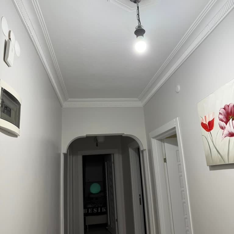 Hepsiburada iPhone 16 Pro Max Arka Kamera Sorunu