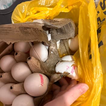 Kırık Yumurta Ve Bozulmuş Ürünler, İade Süreci Başlatılmadı