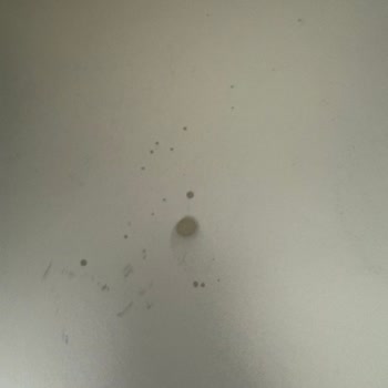 Garanti Kapsamındaki Mini Fırında Boya Atması Ve İade Talebim Karşılanmadı