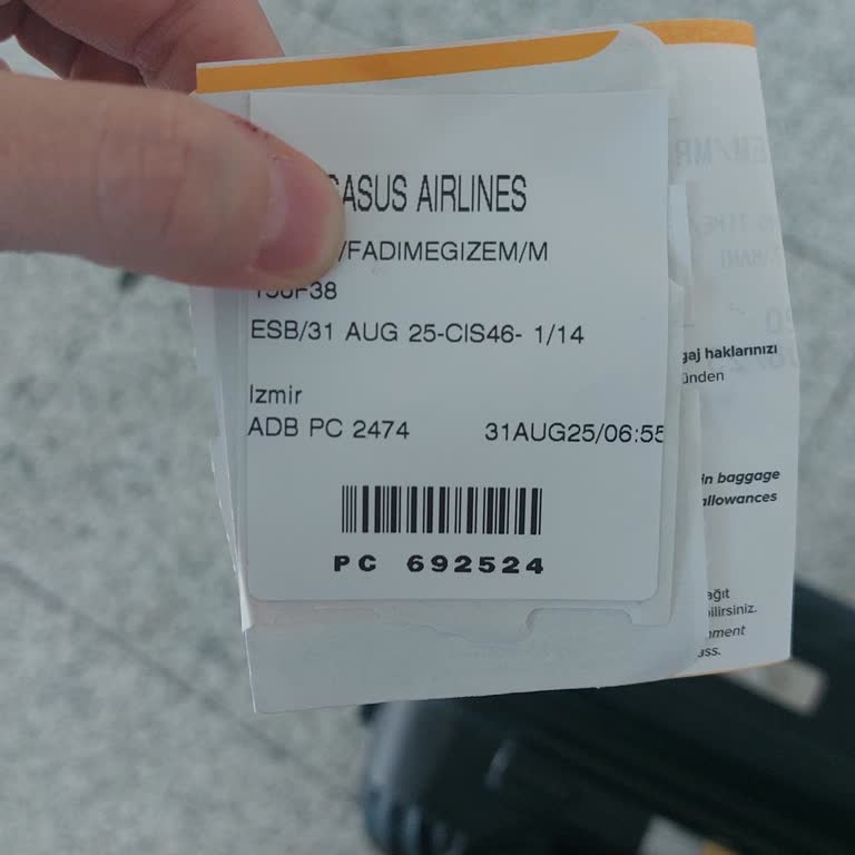 Pegasus Uçuşunda Gecikme Ve Müşteri Hizmetlerinde Sorun Yaşadım