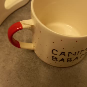 Bagaj Hasarı ve Zarar Tazminatı Talebi