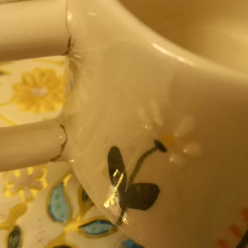 Bagaj Hasarı ve Zarar Tazminatı Talebi