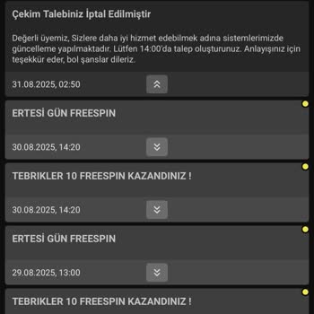Para Çekme Talebim İptal Edildi, 31.000 TL'm Hesabımdan Silindi Ve Müşteri Hizmetlerine Ulaşamıyorum