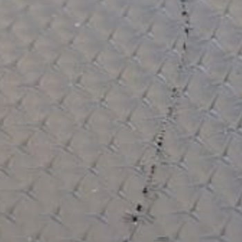 Opel Corsa Ön Göğüs Çatlağına Çözüm Bulunmuyor Servis İlgisiz