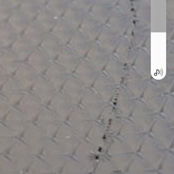 Opel Corsa Ön Göğüs Çatlağına Çözüm Bulunmuyor Servis İlgisiz