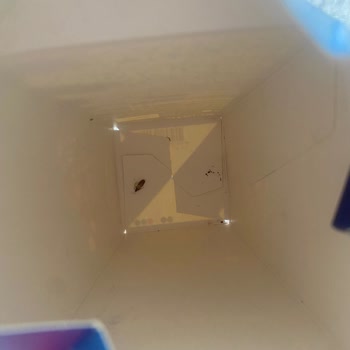 Godiva Çikolata Paketlerinde Kurt Çıkması Ve Çözüm Sunulmaması