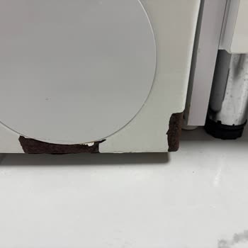 Bosch Çamaşır Makinesinde Boya Dökülmesi ve Küflenme Mağduriyeti