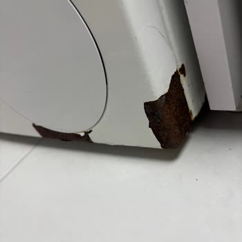 Bosch Çamaşır Makinesinde Boya Dökülmesi ve Küflenme Mağduriyeti